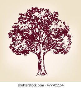 Tree hand drawn vector llustration realistic sketch