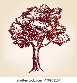 Tree hand drawn vector llustration realistic sketch