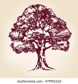 Tree hand drawn vector llustration realistic sketch