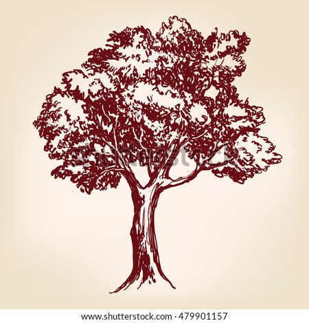 Tree Hand Drawn Vector Llustration Realistic Stock Vector