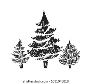 Tree hand drown illustration sketch.