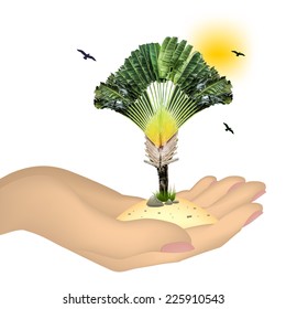 Tree in hand isolated on white background