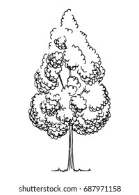 Tree hand-drawn vector