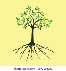 Tree has green leaves with dark brown roots vector illustration