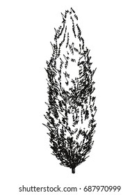 Tree high hand drawing