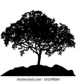 tree at hill silhouette vector 