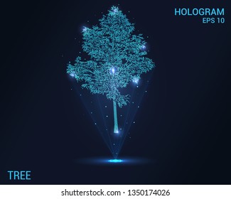 The tree is a hologram. Digital and technological tree background. Futuristic maple design