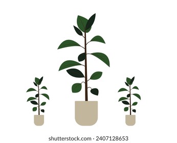 Tree house plant and flat isolation vector. beautiful pot and white background.