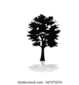 Tree icon