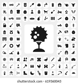 tree icon. agriculture set. vector sign symbol on white background
