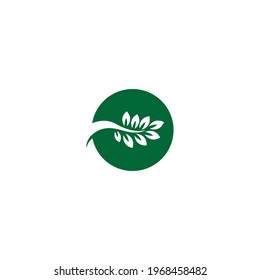 Tree icon  Tree branch design vector illustration template