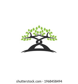 Tree icon  Tree branch design vector illustration template
