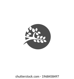 Tree icon  Tree branch design vector illustration template