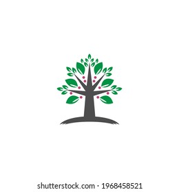 Tree icon  Tree branch design vector illustration template