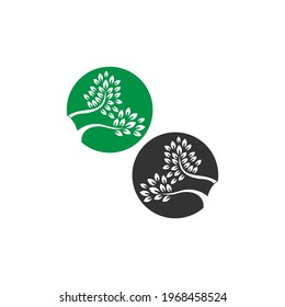 Tree icon  Tree branch design vector illustration template