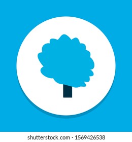 Tree icon colored symbol. Premium quality isolated ecology element in trendy style.