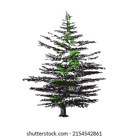 tree icon. tree icon with colours background 