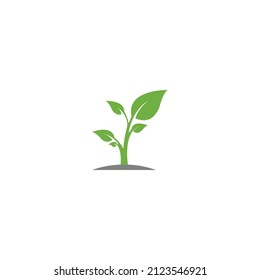 Diseño de logotipo de concepto de icono de árbol
