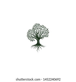 Tree icon concept of nature log template vector
