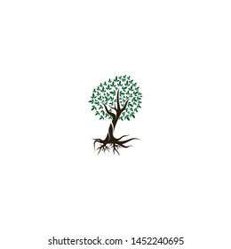 Tree icon concept of nature log template vector