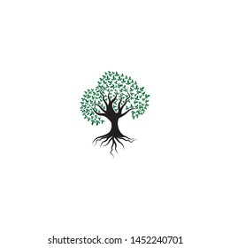 Tree icon concept of nature log template vector