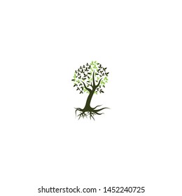 Tree icon concept of nature log template vector