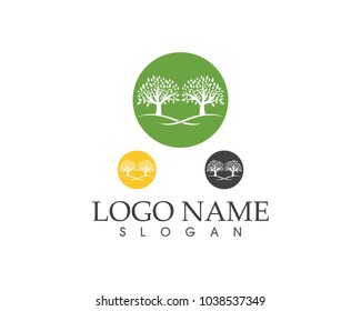 Tree icon concept of a stylized tree