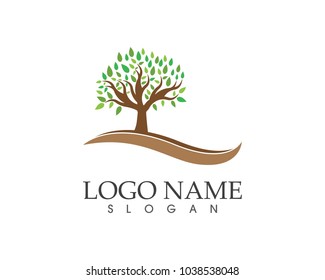 Tree icon concept of a stylized tree