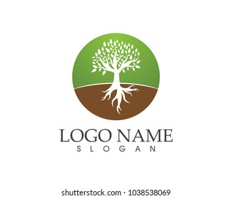 Tree icon concept of a stylized tree