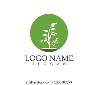 Tree icon concept of a stylized tree