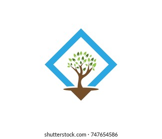 Tree icon concept of a stylized