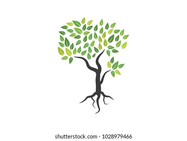 Tree icon concept of a stylized tree with letter