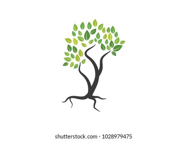 Tree icon concept of a stylized tree with letter