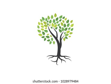 Tree icon concept of a stylized tree with letter