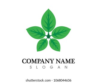 Tree icon concept of a stylized tree with letter
