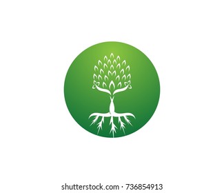 Tree icon concept of a stylized tree with letter
