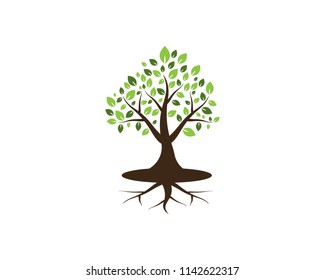 Tree icon concept of a stylized vector illustration
