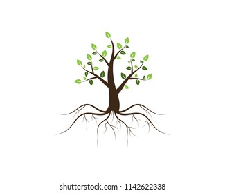 Tree icon concept of a stylized vector illustration
