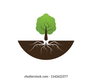 Tree icon concept of a stylized vector illustration
