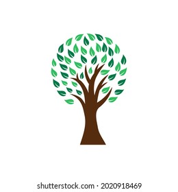 Plantilla de ilustración de diseño de icono de árbol