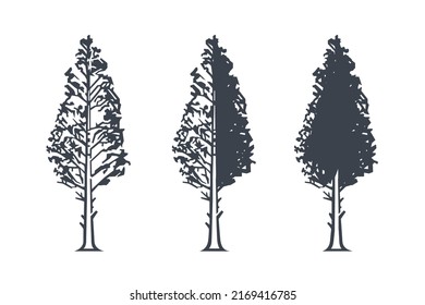 Vector Trees Illustrations Monochrome Illustrations Coniferous Stock ...