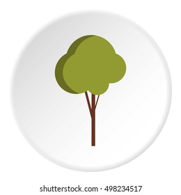 Tree icon. Flat illustration of tree vector icon for web
