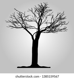 Tree icon. Forest symbol. Flat web sign on white background. Vector eps10