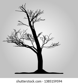 Tree icon. Forest symbol. Flat web sign on white background. Vector eps10