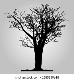 Tree icon. Forest symbol. Flat web sign on white background. Vector eps 10