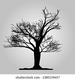 Tree icon. Forest symbol. Flat web sign on white background. Vector eps10