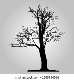 Tree icon. Forest symbol. Flat web sign on white background. Vector eps10