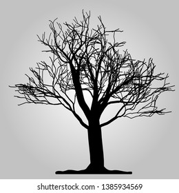 Tree icon. Forest symbol. Flat web sign on white background. Vector eps10