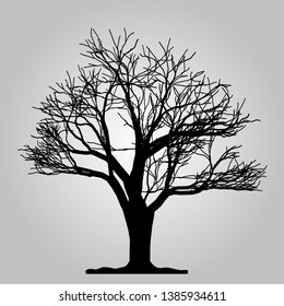 Tree icon. Forest symbol. Flat web sign on white background. Vector eps10