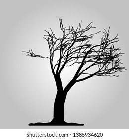 Tree icon. Forest symbol. Flat web sign on white background. Vector eps10